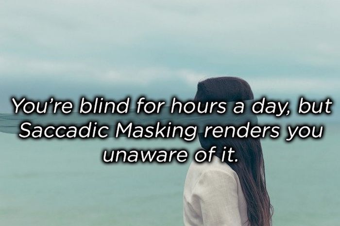 sentence_facts_20.jpg