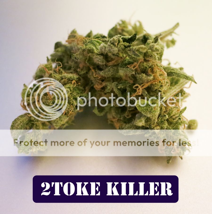 2toke.jpg