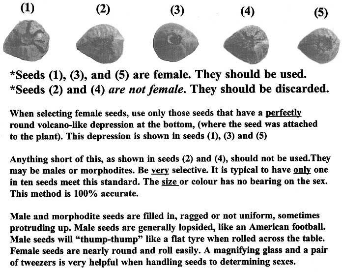 seedsexchart.jpg