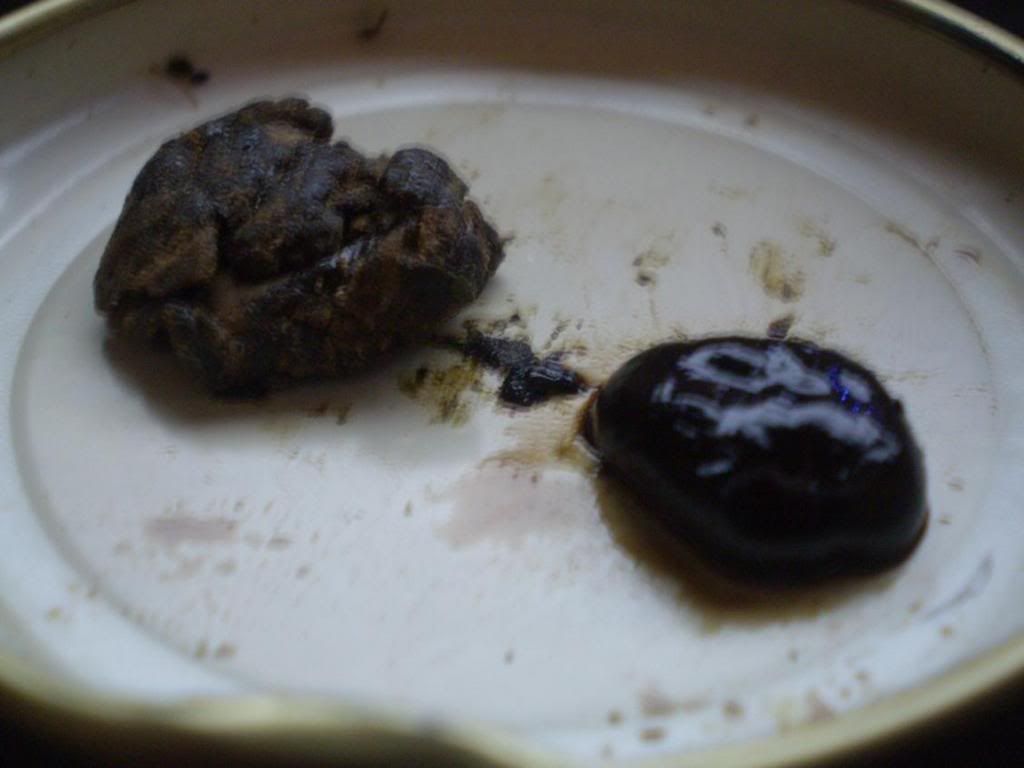 hashhh013.jpg
