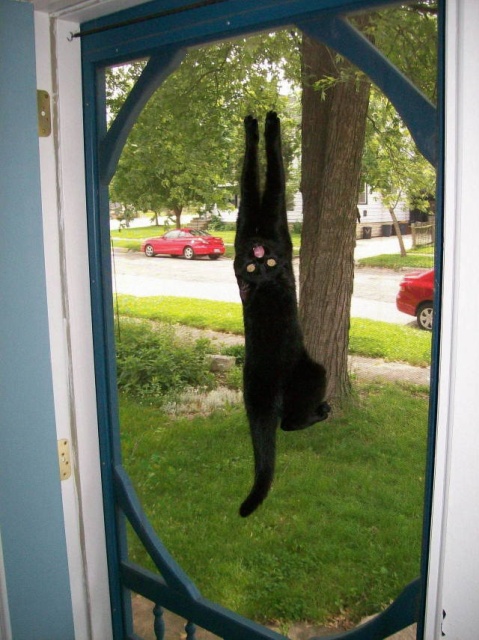 acid_picdump_14.jpg