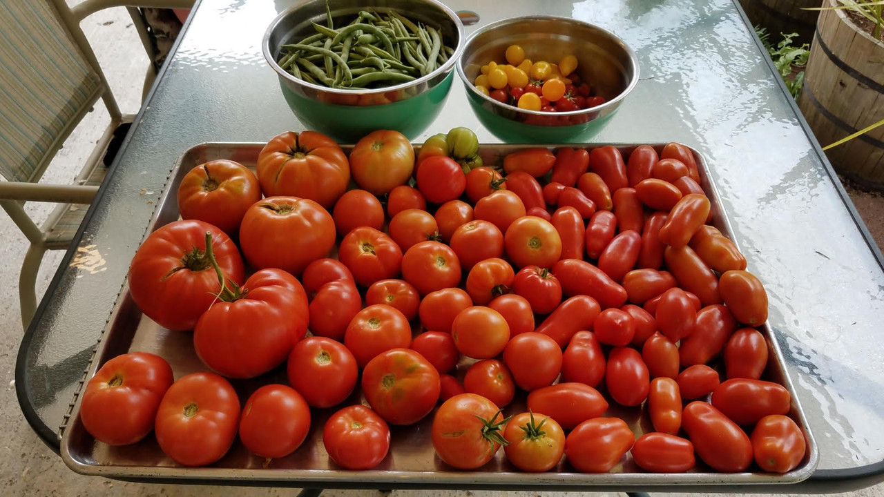 garden09172021.jpg