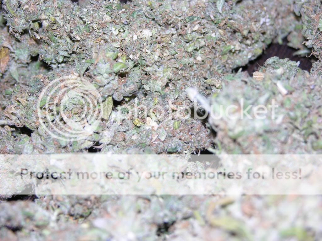 dry010.jpg