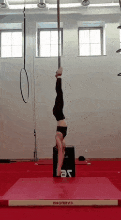 1662993705_25.gif