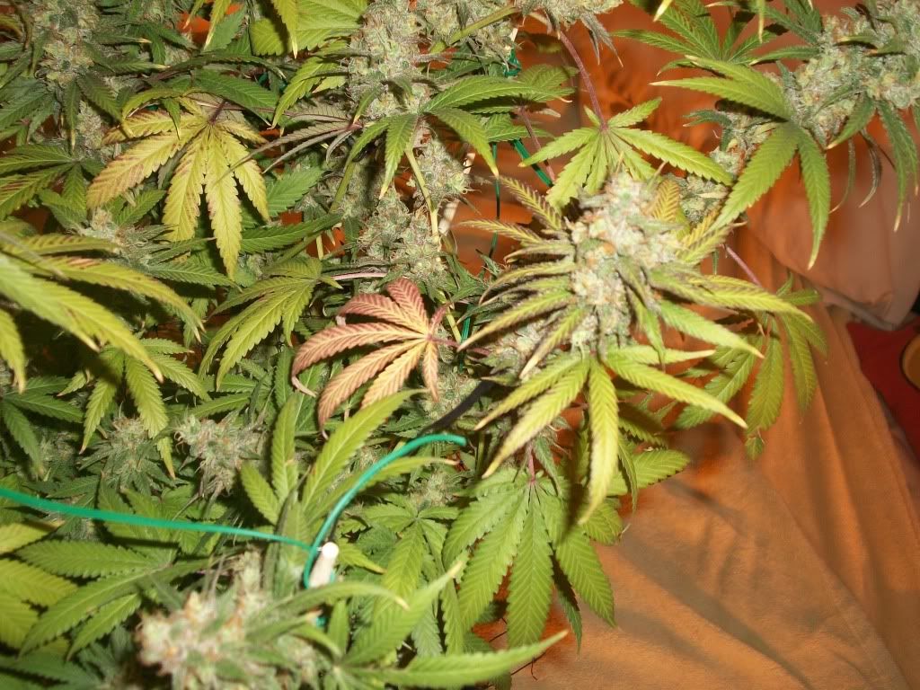 11-05-11001.jpg