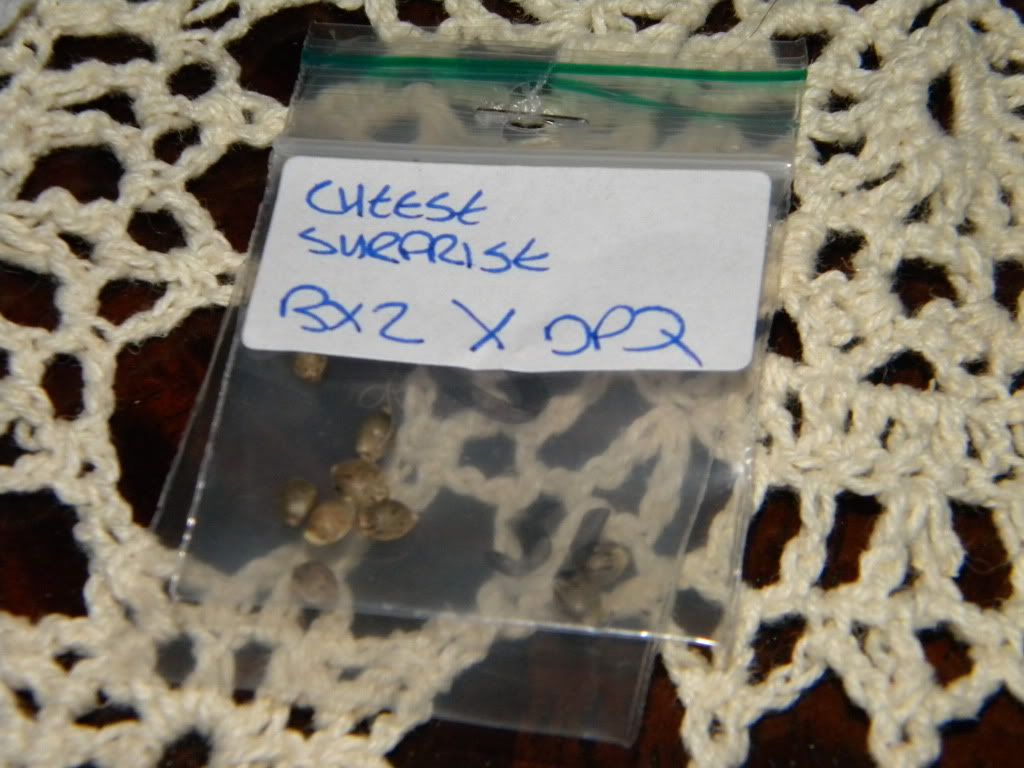 DSCN3272.jpg