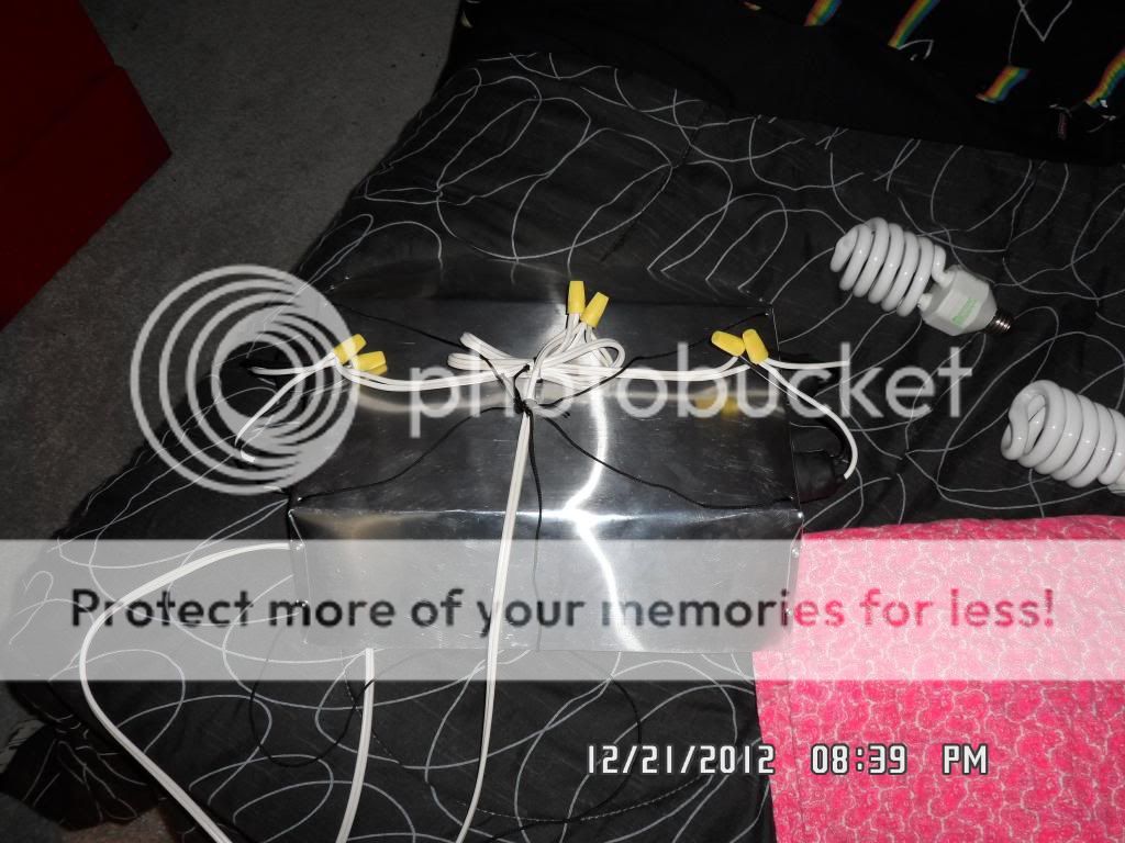 SAM_0472_zpsf6634e58.jpg