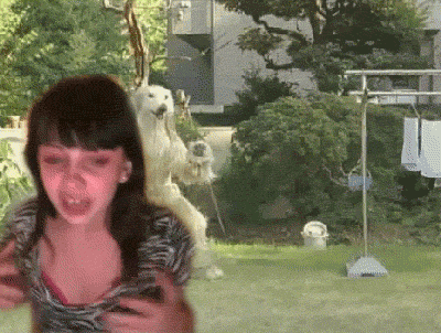 tumblr_legs9t4uWC1qcygd9.gif