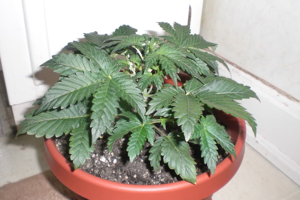 Oct7004.jpg