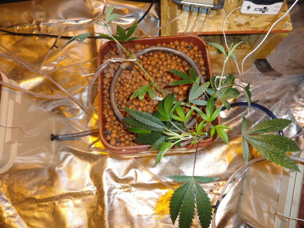 DSC01499.jpg