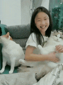 1664466825_8.gif