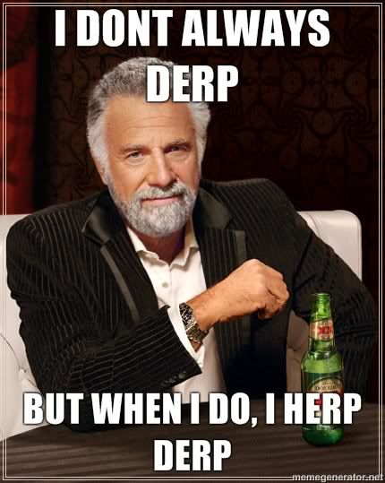 i-dont-always-derp-but-when-i-do-i-herp-derp.jpg