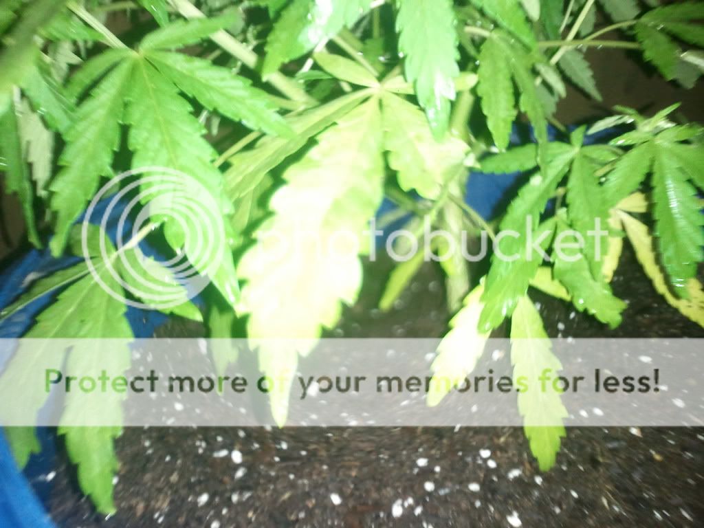 2012-05-21214439.jpg