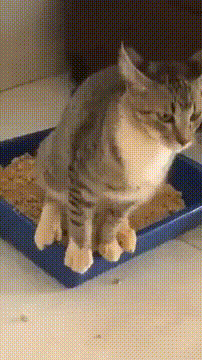 gifs_24.gif