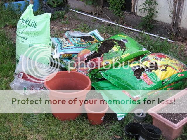 IMG_0721.jpg