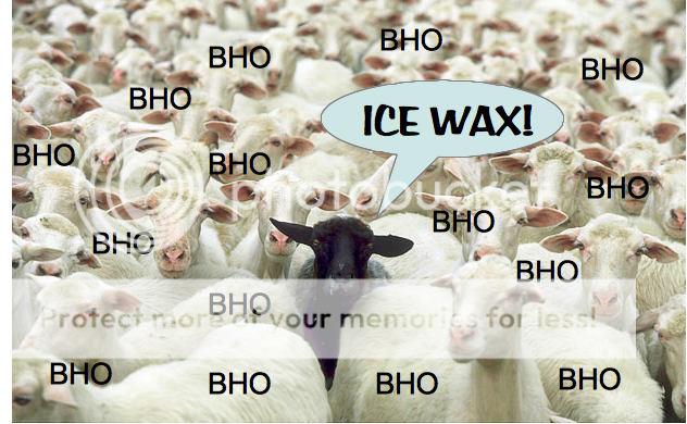blacksheepfinal.png