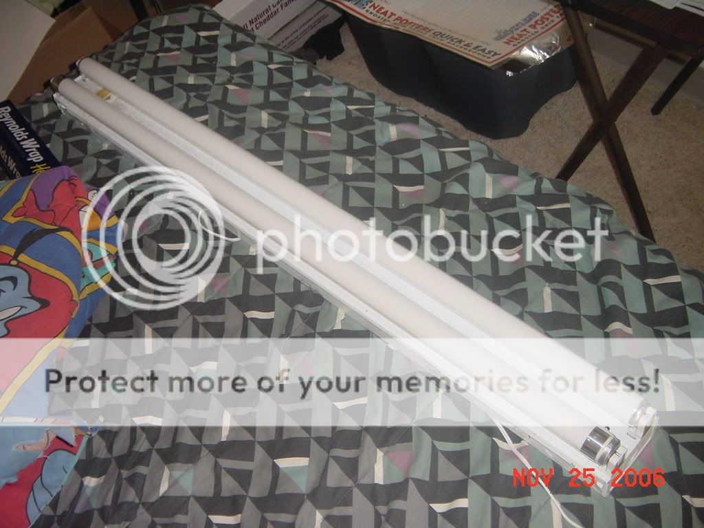DSC02170.jpg