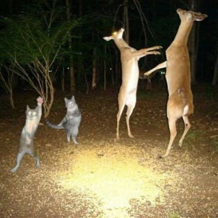 funny_and_strange_photos_08.jpg