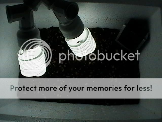 Picture017-1.jpg