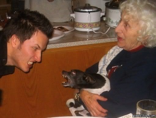 Dog_Willeat_U.jpg