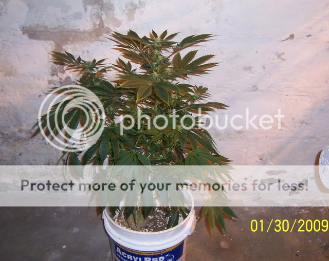 100_1212.jpg