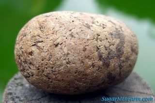 rock.jpg
