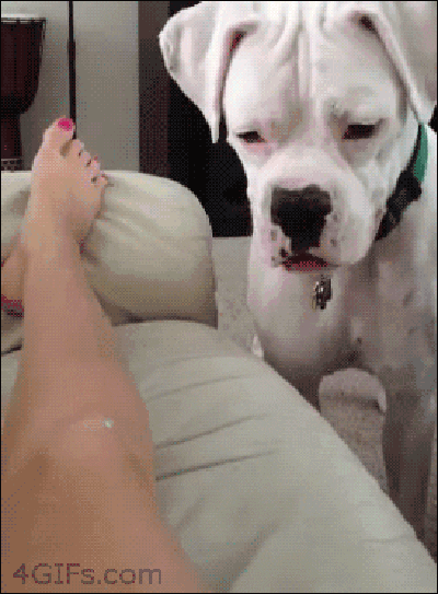 gifs_25.gif