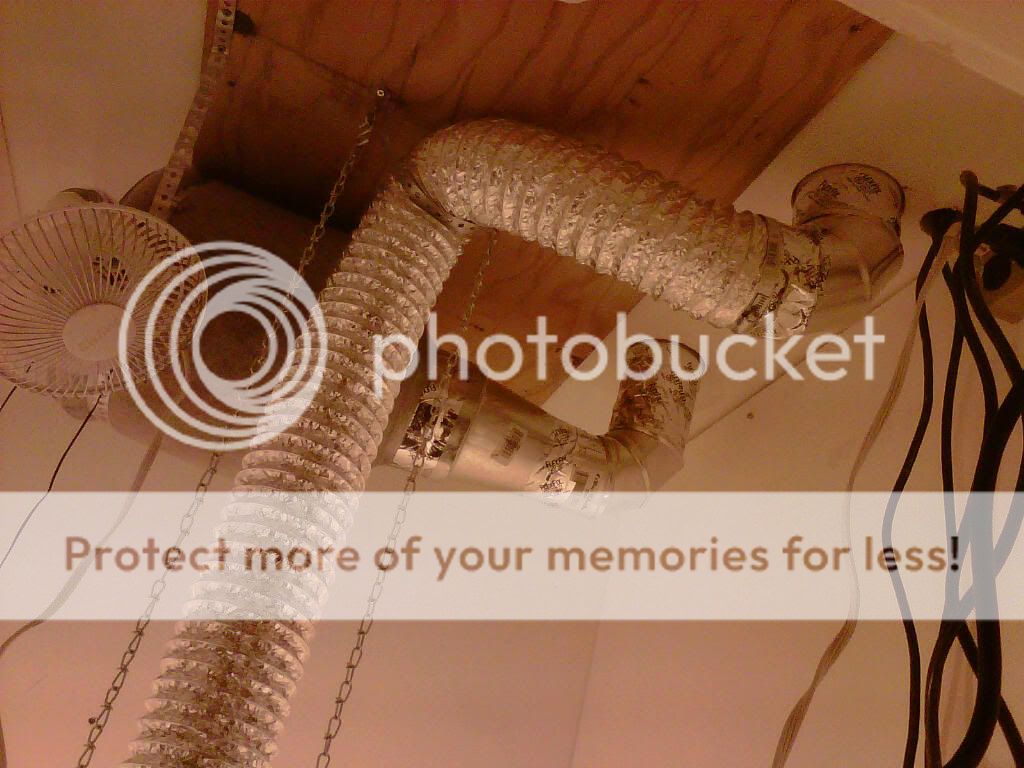 IMG00050-20100815-2044.jpg