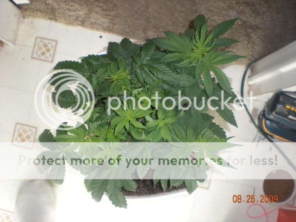 DSCN1874.jpg