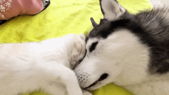 1677763234_23.gif