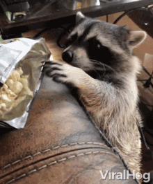 stealing-viralhog.gif