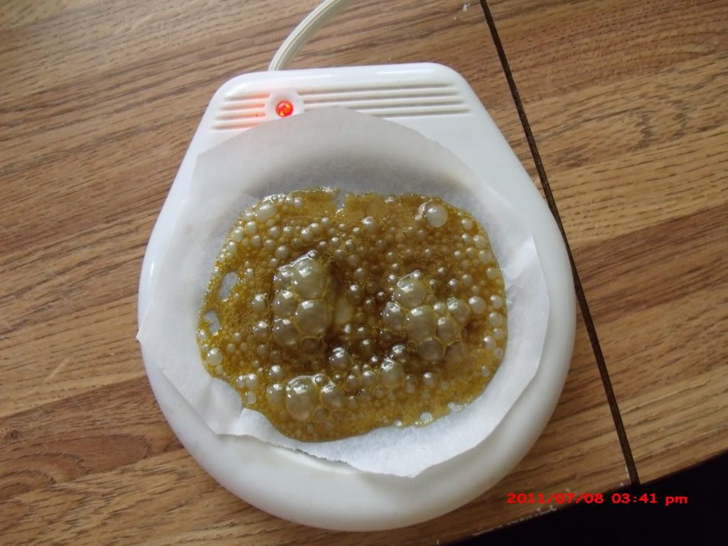 GEDC0986.jpg