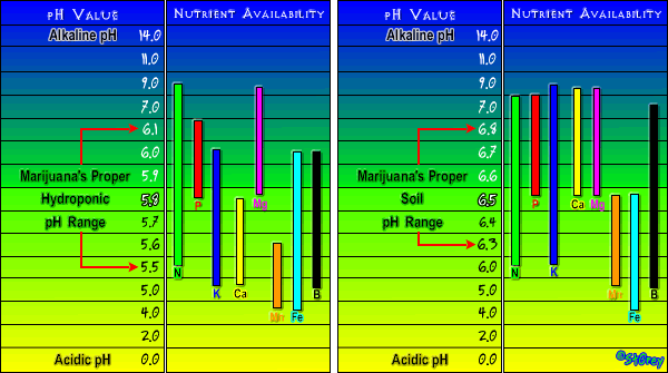 Nutrient_Chart.jpg
