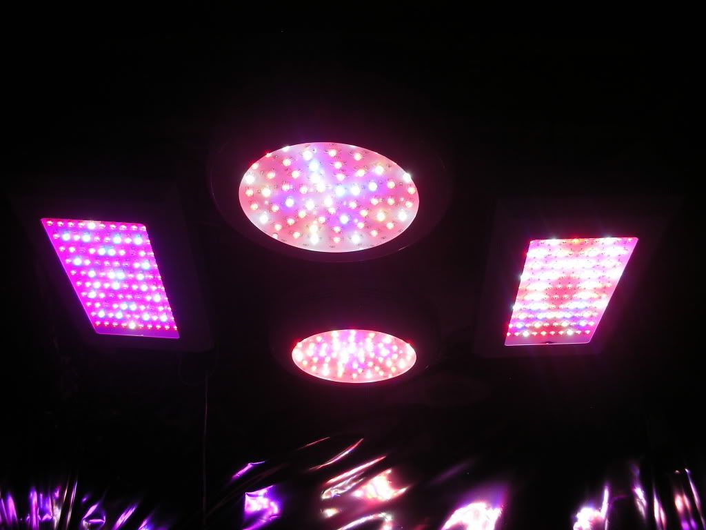 DSCN3519.jpg