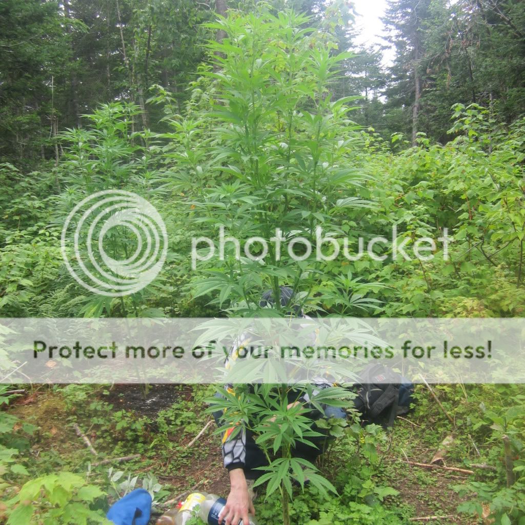 IMG_0278.jpg
