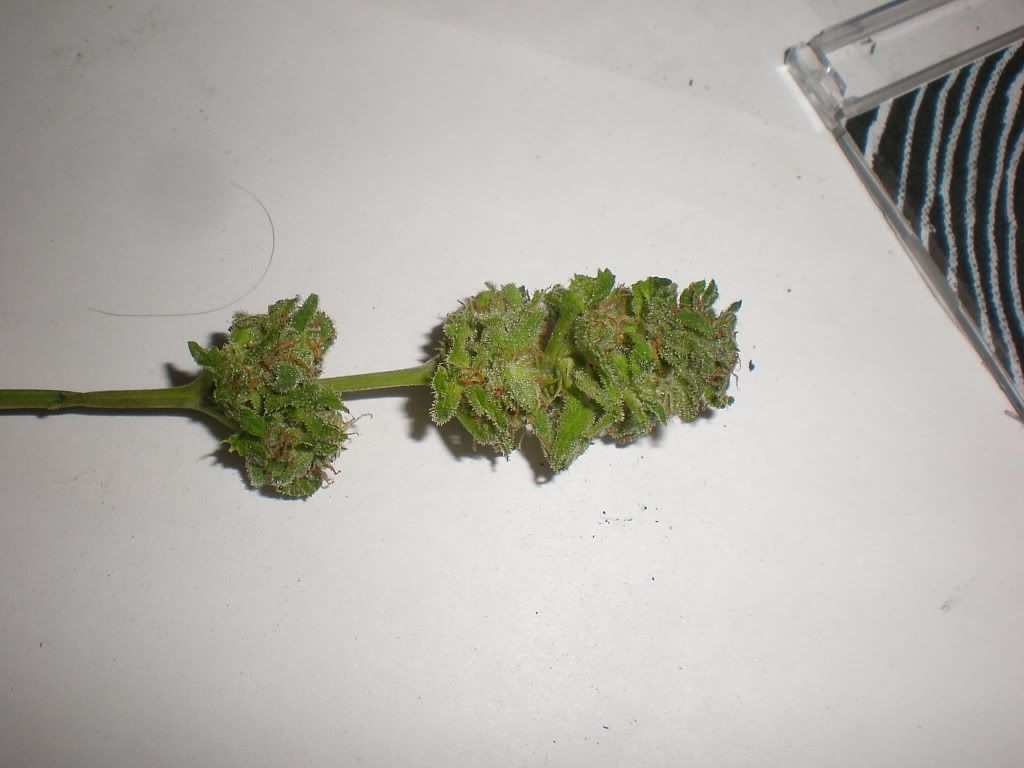 PB230034.jpg