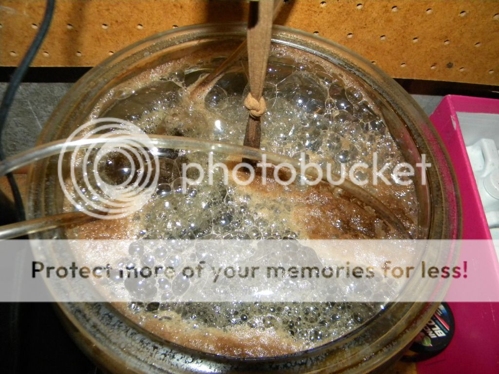 DSCN3781.jpg