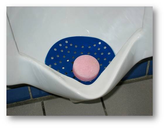 Urinal+Cake.jpg