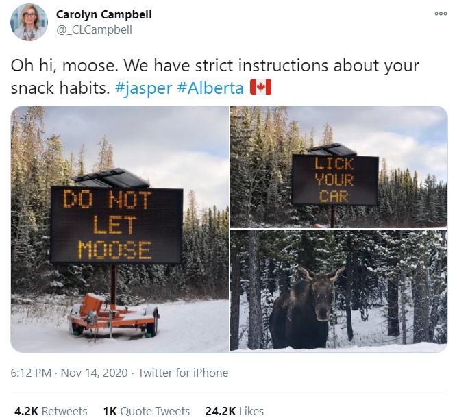 moose-warning-sign.jpg