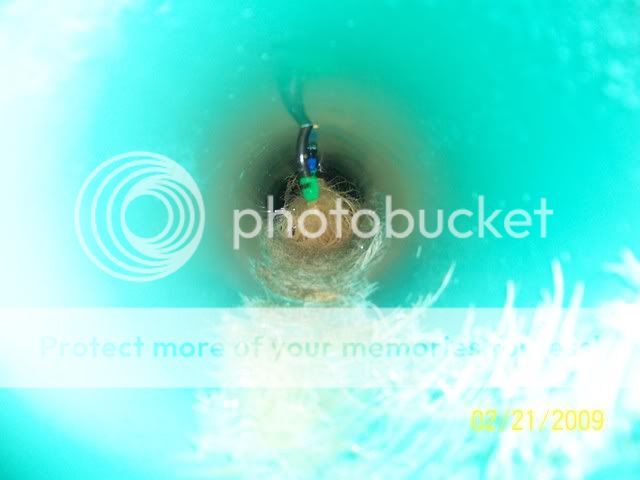 100_1439.jpg