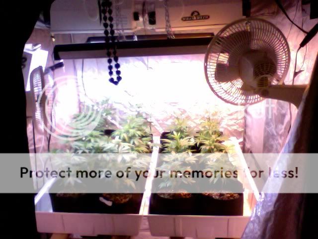 Photo71.jpg
