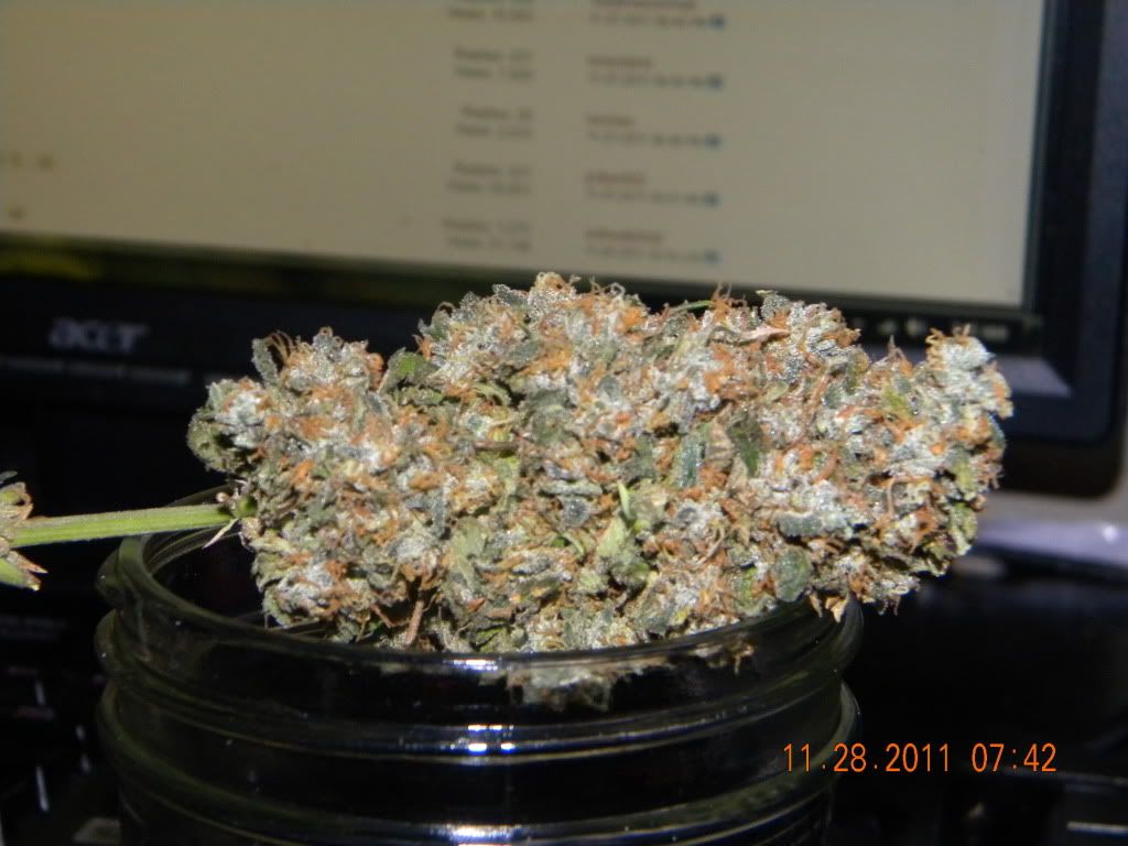 DSCN3060.jpg
