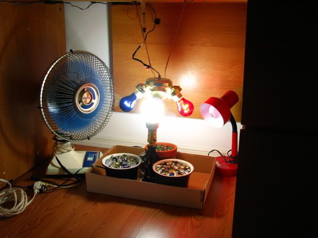 happytimes002-2.jpg