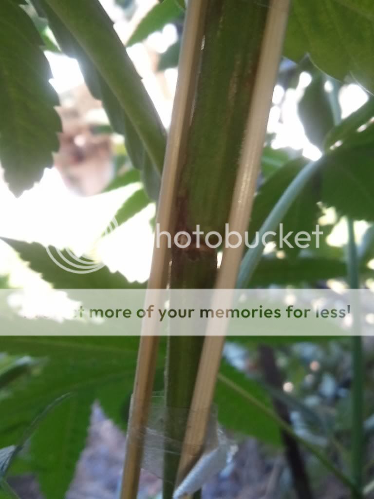 WP_000226.jpg