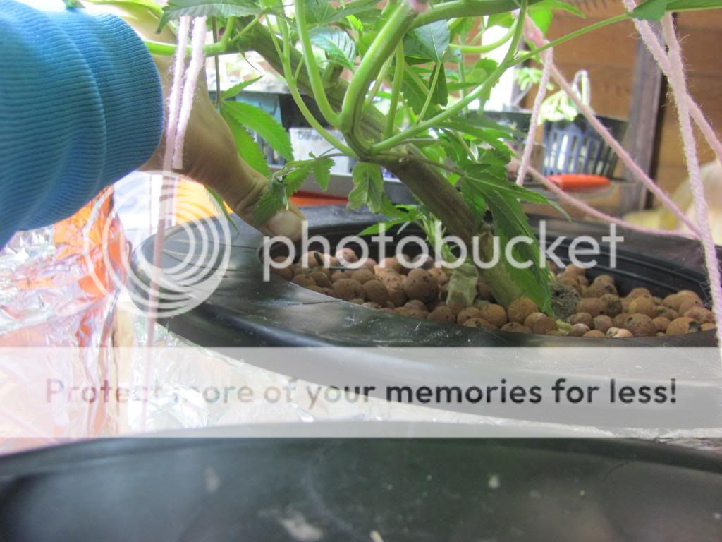 IMG_2906_zps6eacf06a.jpg
