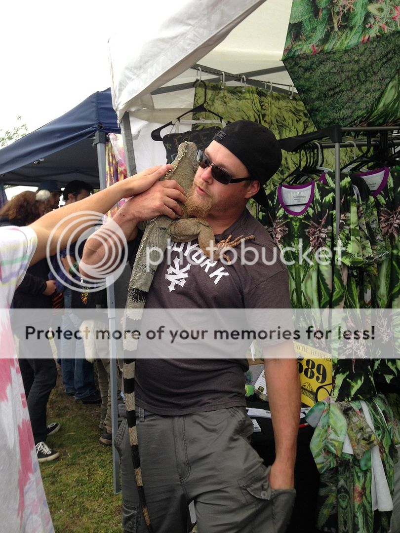 IMG_1252_zpse7ottbjg.jpg