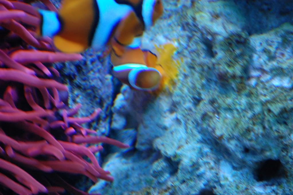 DSC_0016.jpg
