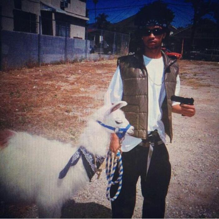 acid_picdump_18.jpg