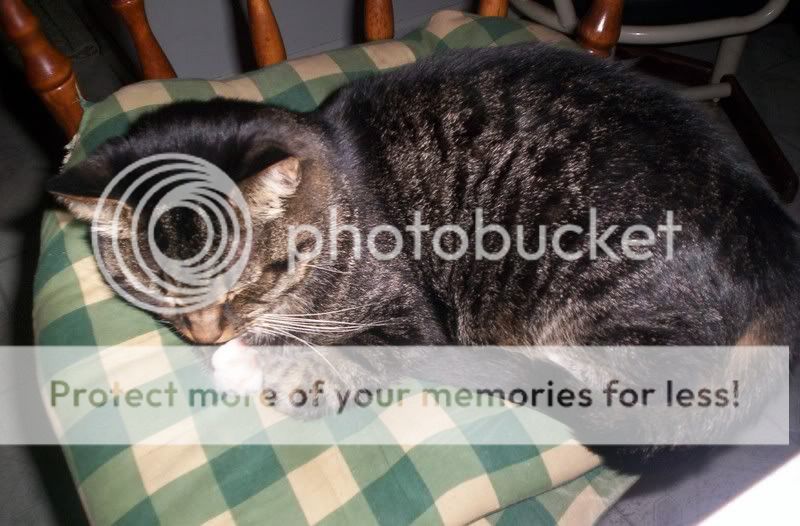 100_3950.jpg