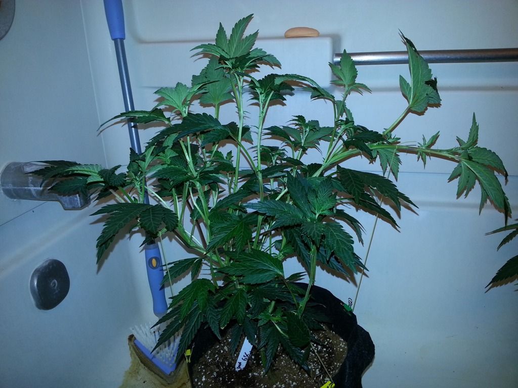 20120930_200002.jpg